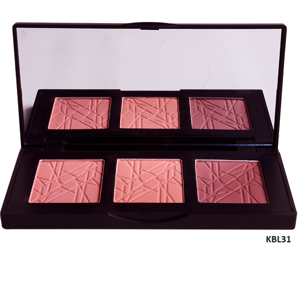 Dior hotsell blush palette